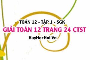 Giải Toán 12 trang 24 tập 1 Chân trời sáng tạo